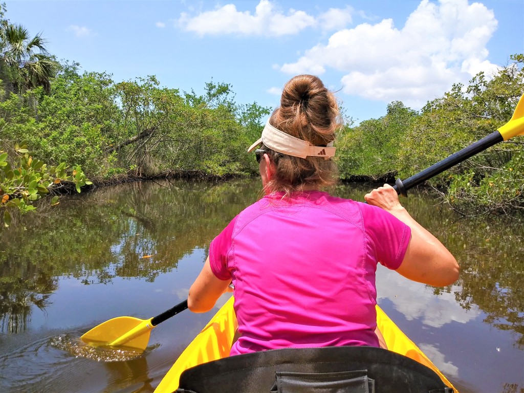The Best Adventures of Fun, Sunsets and Shopping in Sarasota!
kayaking through mangroves
adventure in florida