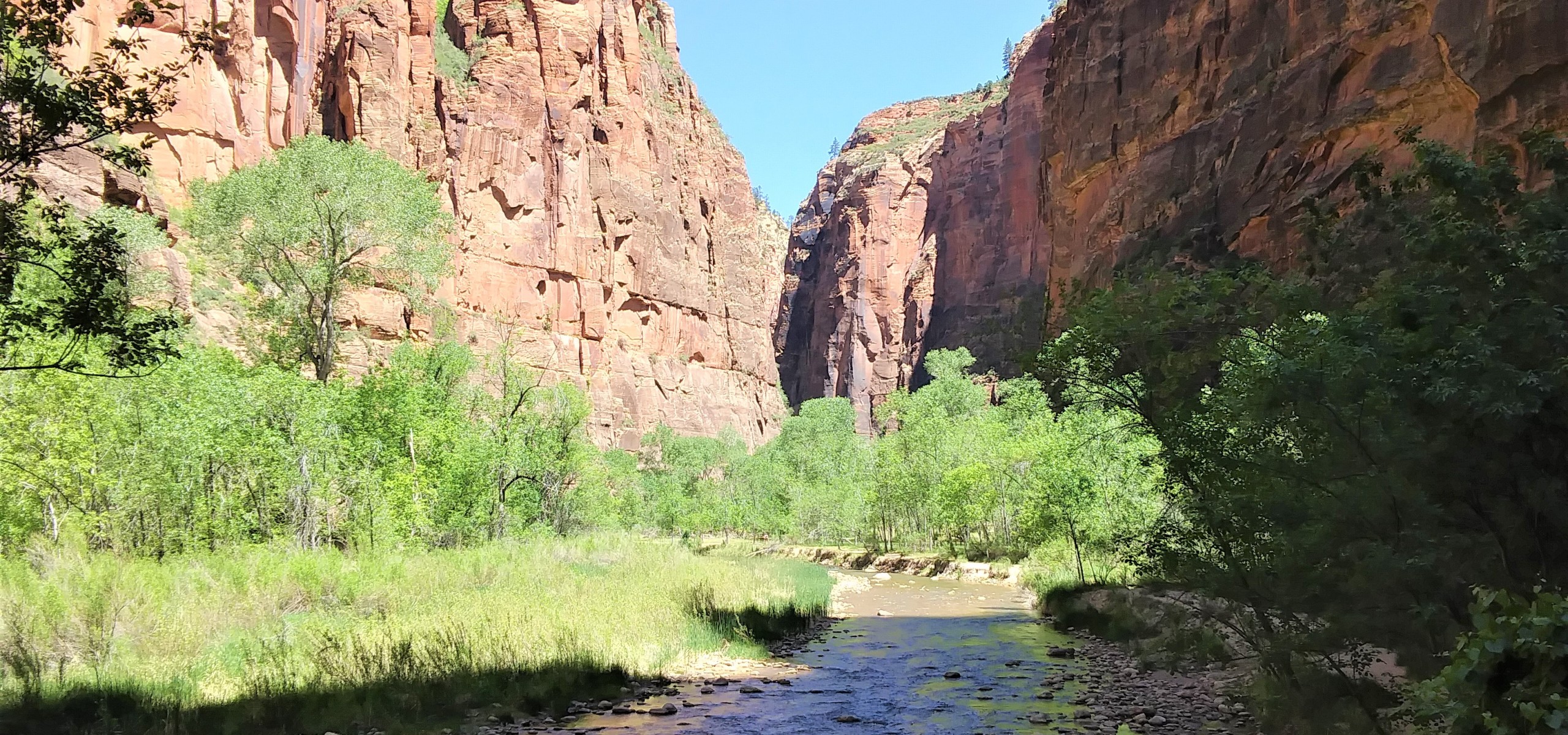 Zion National Park Travel Guide